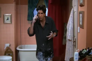 David Schwimmer as Ross - Friends