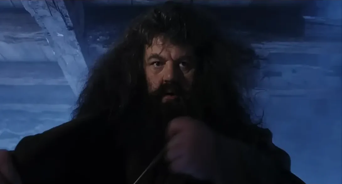 Rubeus Hagrid _ Harry Potter and the Philosopher's Stone