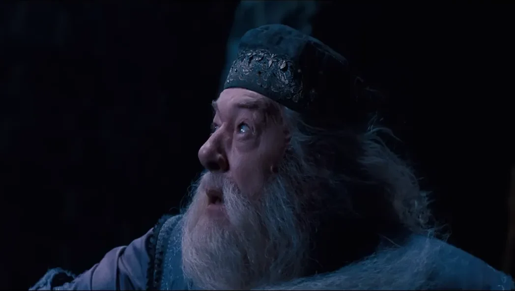 Wizard Battle_ Dumbledore in Harry Potter